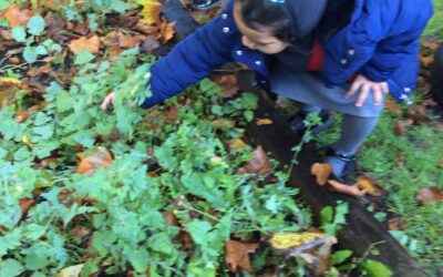 Forest School with Miss Milson